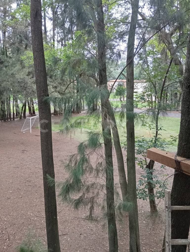 Fotos adicionales