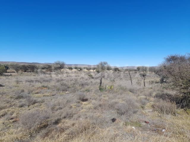TERRENO EN VENTA DE 7.2 HA EN SAN JERÓNIMO, GUADALUPE, ZAC