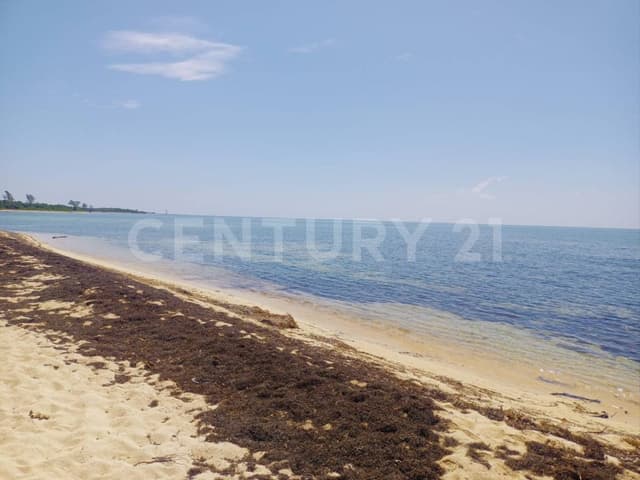 Terrenos de Inversión en Playa del Carmen