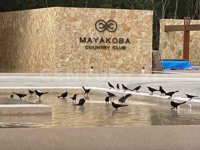 TERRENO EN VENTA EN MAYAKOBA COUNTRY CLUB PLAYA DEL CARMEN