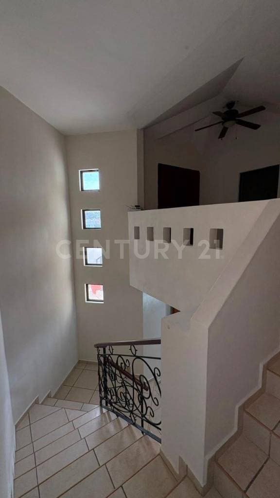 Fotos adicionales