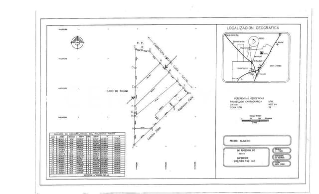 4 HECTAREAS EN VENTA TULUM - COBA