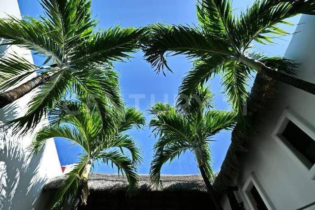 Casa del Agua, Zona Hotelera en Venta C2468