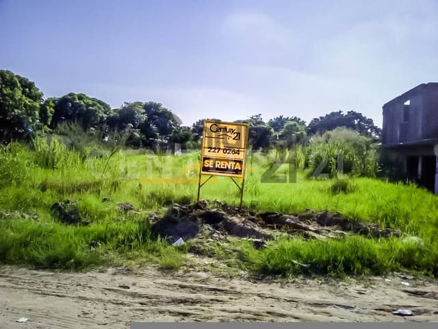 TERRENO COMERCIAL EN RENTA, COL. MONTE ALTO, ALTAMIRA, TAMAULIPAS.