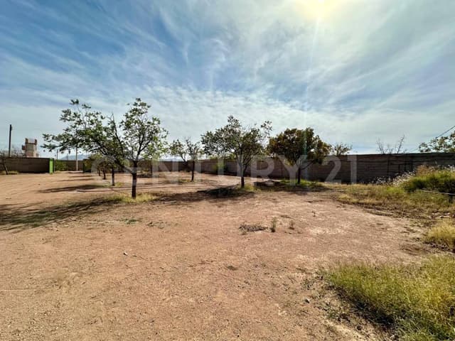 Terreno en Venta col. Tabalaopa, Chihuahua