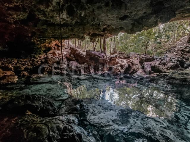 Venta de terreno en Chemuyil: plusvalía, naturaleza y ubicación