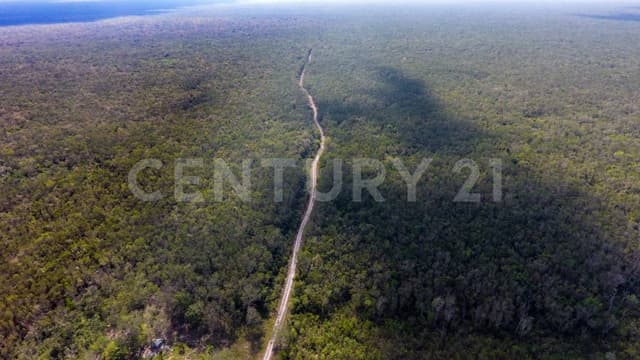 Venta de terreno San Alejo en Carretera Cancún - Leona Vicario YC0923