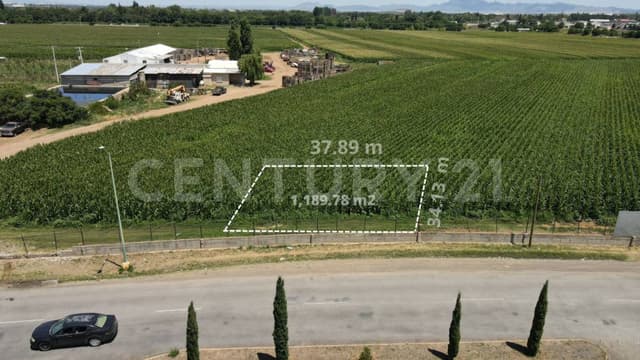 TERRENO EN VENTA COL. EX AGRICOLA SAN ANTONIO CP 31510 EN CD. CUAUHTEMOC, CHIH.