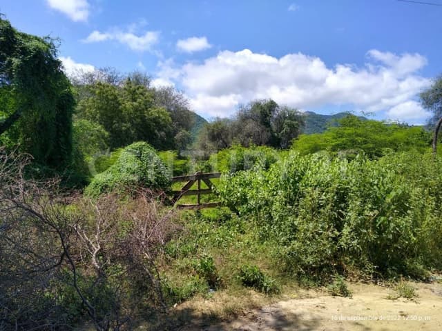 VENTA DE TERRENO AGRICOLA..713,000 M2..... 71.3 Hectárea.. CULIACAN