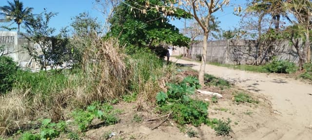 TERRENO EN VENTA Col Paraiso en Lomas de Barrillas B