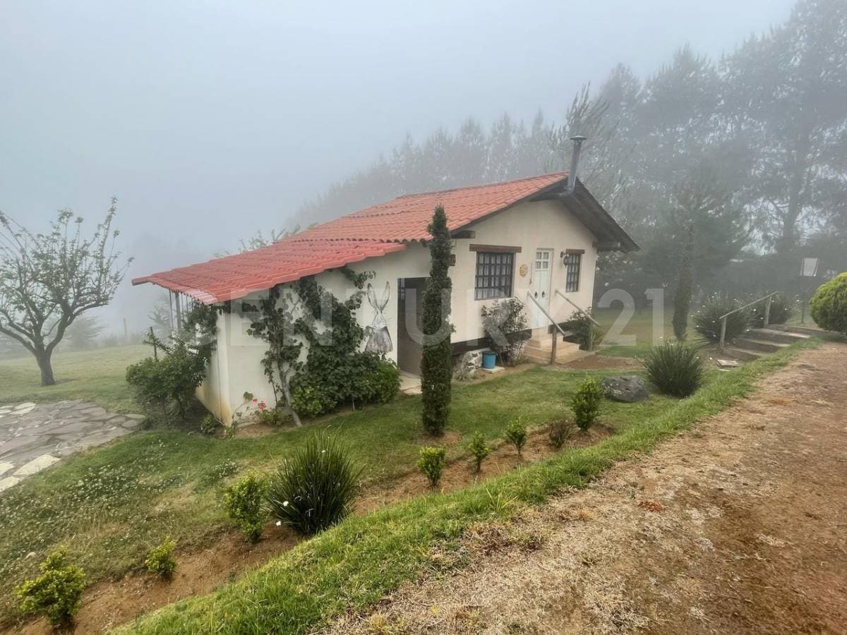 Fotos adicionales