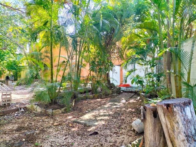 Terreno en Renta en Alamos