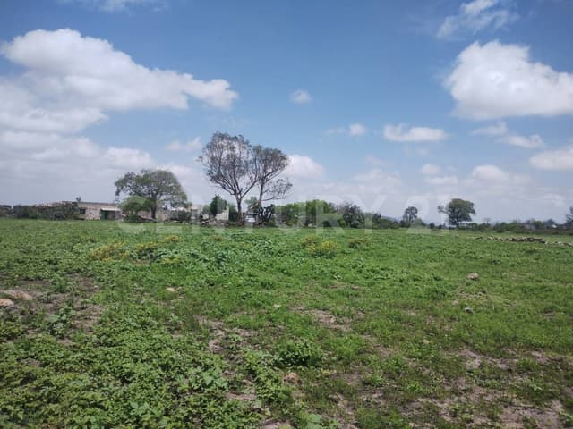 Terreno Rustico en Venta Ubicado en la Localidad de Polotitlán Estado de México