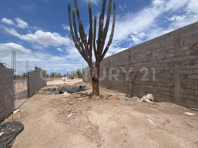 TERRENO EN VENTA EN LA PITAHAYA