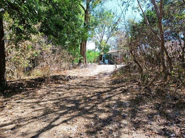 Venta de Terreno Campestre en Suchitlán Calle Clavel Fraccion A Lote 282