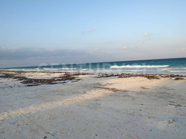 Se vende Terreno frente al mar Boca Paila Tulum P1277