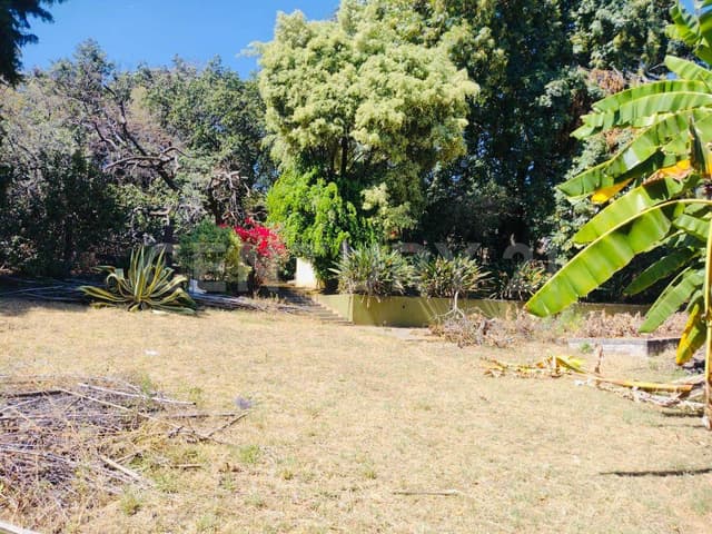 TERRENO EN VENTA, CAMINO DE ALARCÓN, AHUATEPEC, MORELOS.