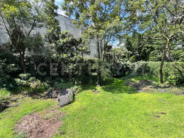 Terreno con casa para remodelar y amplio jardín en Jardines del Pedregal