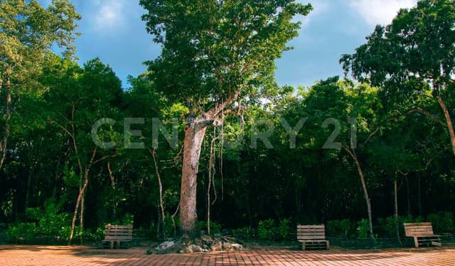 Terreno en Venta en Ciudad Chemuyil, Tulum, Quintana Roo