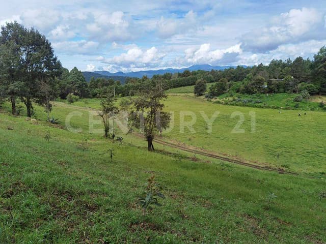 TERRENO EN VENTA EN EL CASTELLANO, ACATITLÁN