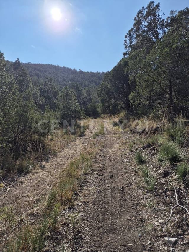 Venta de Terreno Campestre en Arteaga en Los Lirios