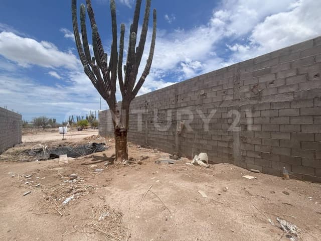 TERRENO EN VENTA EN LA PITAHAYA