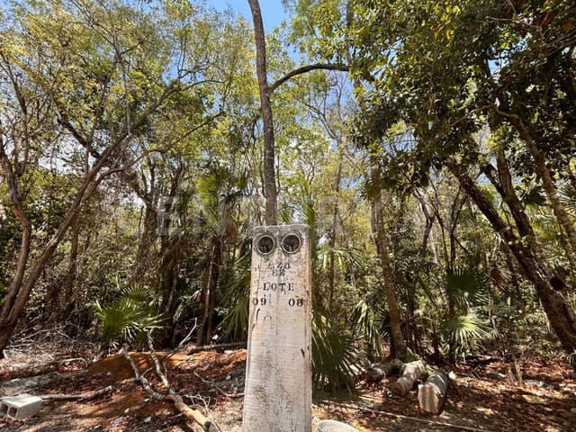 TERRENO EN VENTA REG 15 MZA 82