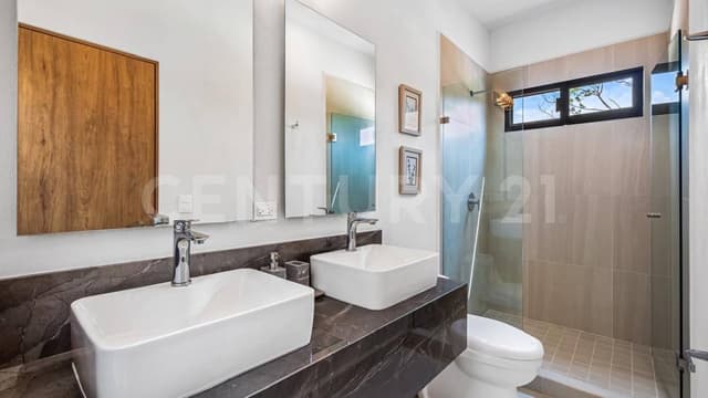 Encino plus Olivio 613