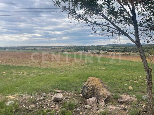 SE VENDE TERRENO CARR. CUAUHTEMOC-LAJUNTA C.P. 31604 EN CD. CUAUHTEMOC, CHIH.