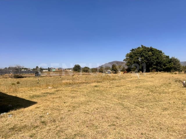 Invierte en Atlixco-Terreno amplio cerca de zona Gastronómica