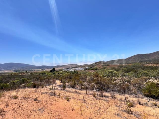 Terreno en Venta en San Antonio de las Minas – Col. Guadalupe, Ensenada, B.C.