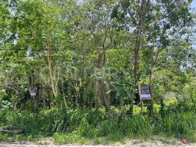 Terreno en Venta colonia Ejido Playa del Carmen