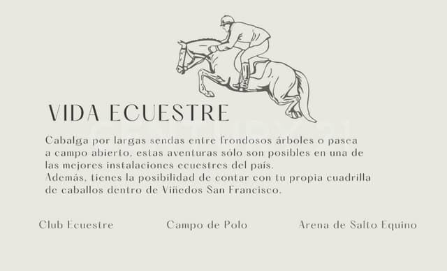 CASA CENIT - VIÑEDOS SAN FRANCISCO