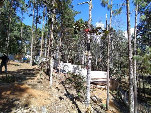 TERRENO EN VENTA, LA SOLEDAD, SAN CRISTOBAL DE LAS CASAS, CHIAPAS