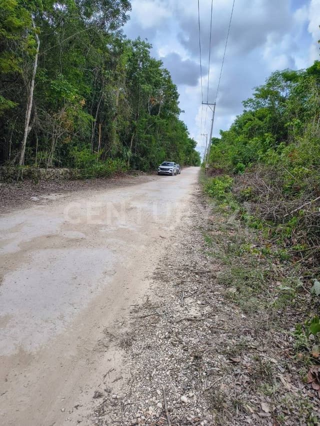 OPORTUNIDAD TERRENO ENTRADA A LEONA VICARIO PUEBLO EN CANCÚN