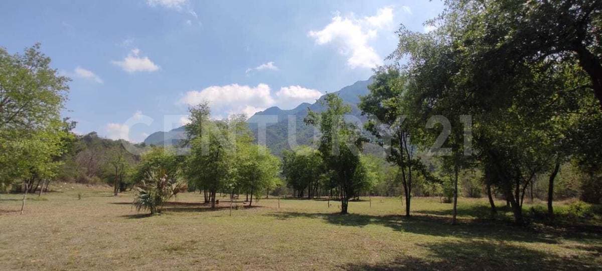 Fotos adicionales