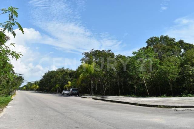 LOTE COMERCIAL ARRECIFES PLAYA DEL CARMEN C2376