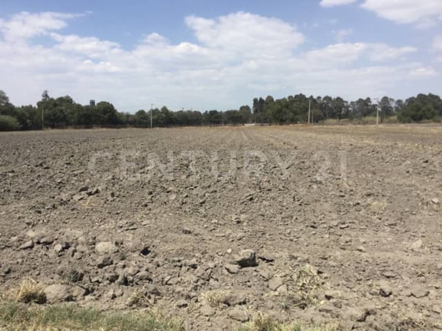 VENTA TERRENO SAN MIGUEL XOXTLA ATRAS DE TERNIUM