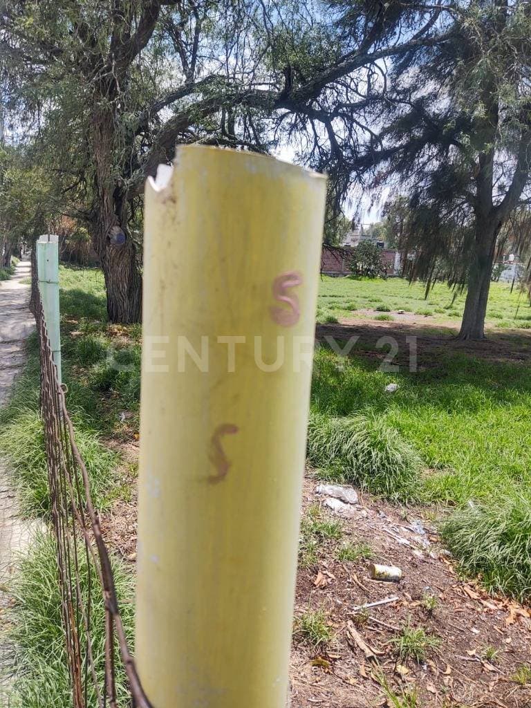 Fotos adicionales
