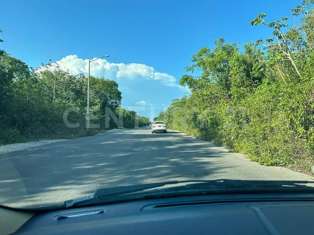 TERRENO DE INVERSIÓN A METROS DE LA NUEVA CENTRAL DE ABASTO EN PLAYA DEL CARMEN