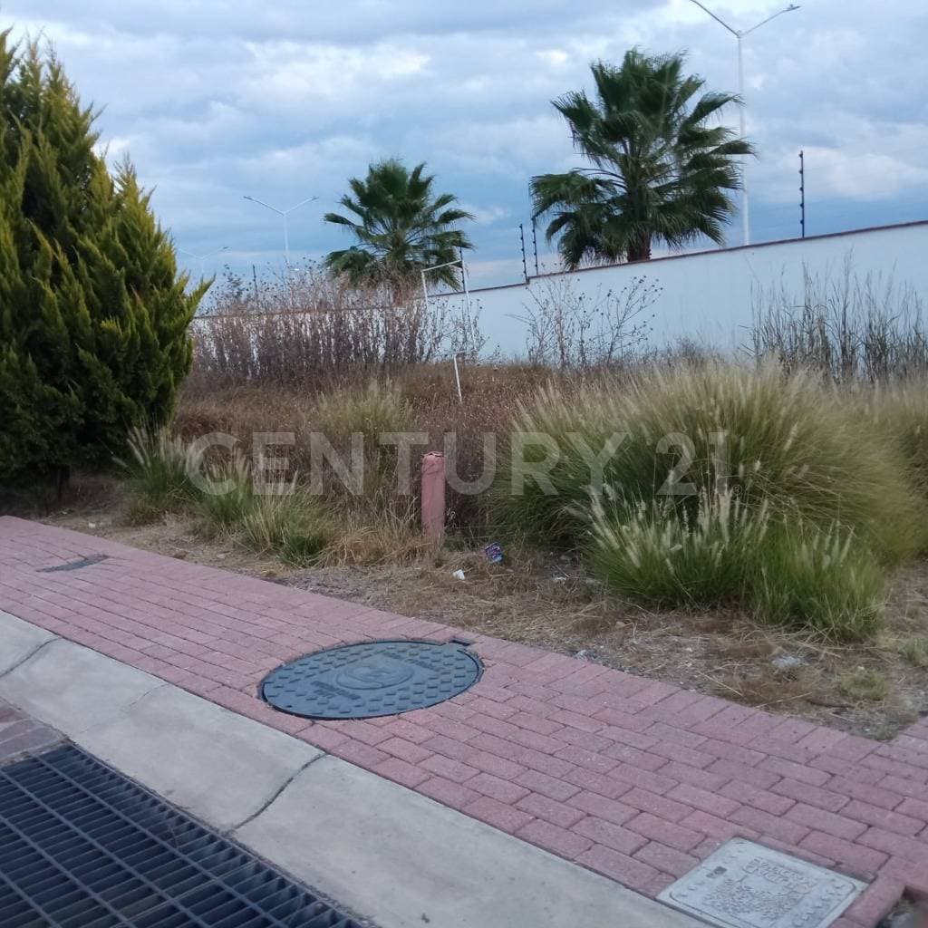 Fotos adicionales