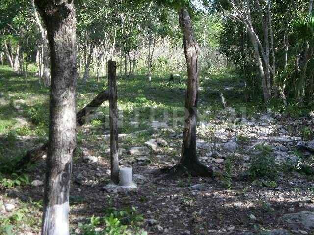 Terreno en Venta Zona Agropecuaria Super Manzana 160 Cancún Benito Juárez