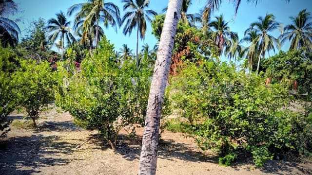 Lote Residencial en Venta en Luces en el Mar, Coyuca de Benitez