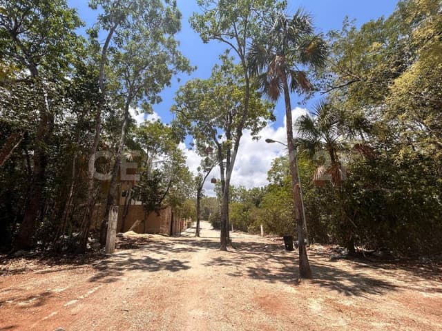 TERRENO EN VENTA REG 15 MZA 82