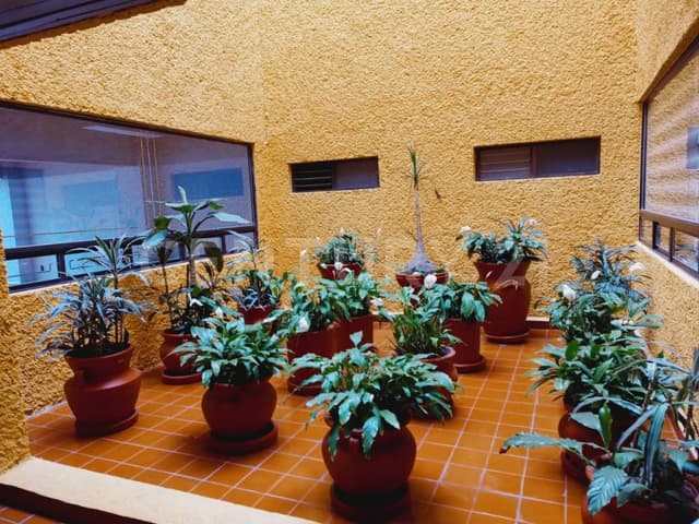 Oficina en renta en Santa Maria La Ribera 142, Santa María La Ribera, Cuauhtémoc