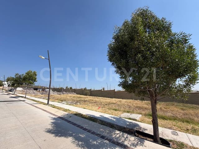 Terreno en Venta en El Mayorazgo