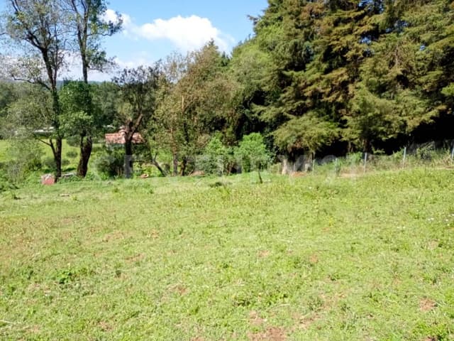 TERRENO EN VENTA EN MESA DE JAIMES, VALLE DE BRAVO, ESTADO DE MEXICO.