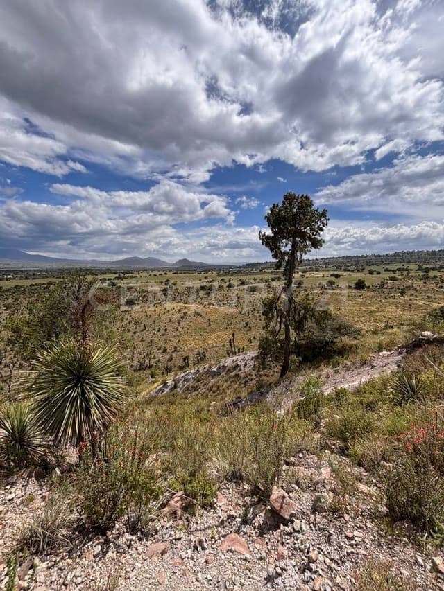 Terreno en Venta para Explotación (para Mina de Grava Asfáltica)