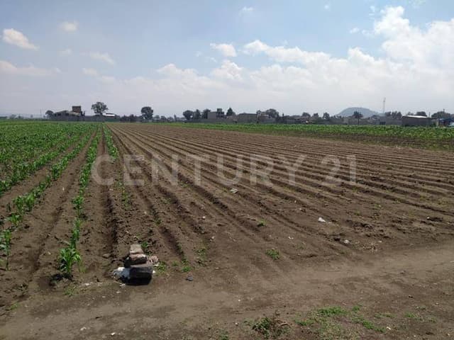 Terreno en Venta en San Pablo Atlazapan, Chalco, México