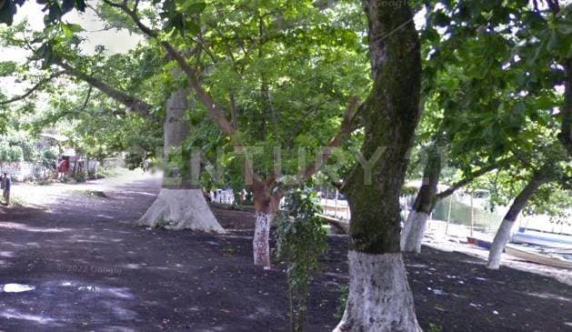 Fotos adicionales